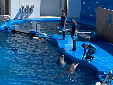仙台うみの杜水族館に投稿された画像（2023/8/28）