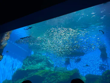 仙台うみの杜水族館に投稿された画像（2023/8/28）