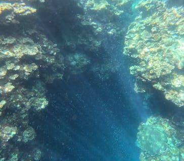 石垣島 ADVENTURE PiPi（イシガキジマアドベンチャーピピ）に投稿された画像（2023/8/28）