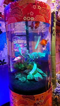 NARA KINGYO MUSEUMに投稿された画像（2023/8/28）