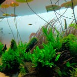 AOAO SAPPOROに投稿された画像（2023/8/28）