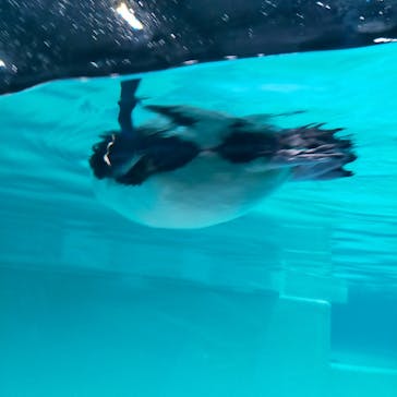 AOAO SAPPOROに投稿された画像（2023/8/28）