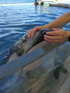 城崎マリンワールドに投稿された画像（2023/8/28）