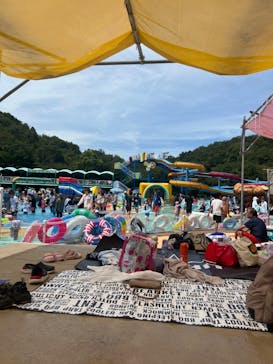 日本モンキーパークに投稿された画像（2023/8/28）