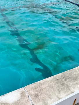 蓮沼ウォーターガーデンに投稿された画像（2023/8/28）