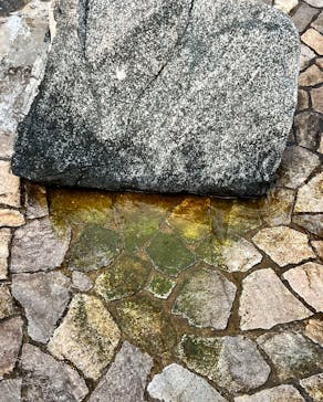 蓮沼ウォーターガーデンに投稿された画像（2023/8/28）