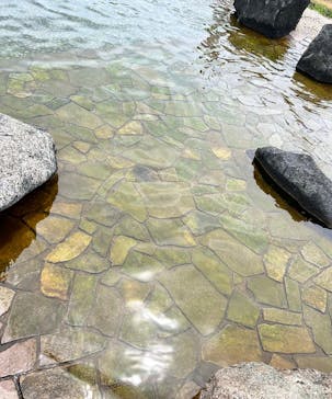 蓮沼ウォーターガーデンに投稿された画像（2023/8/28）