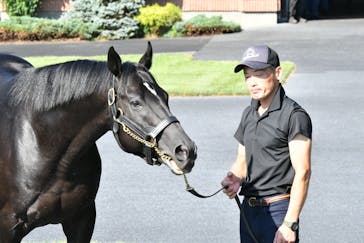 ノーザンホースパークに投稿された画像（2023/8/28）