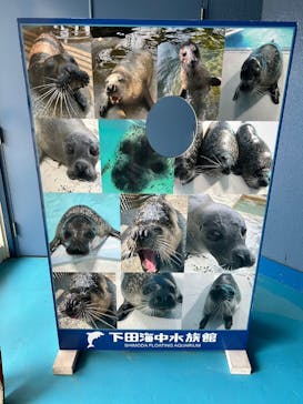 下田海中水族館に投稿された画像（2023/8/8）