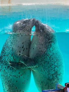 下田海中水族館に投稿された画像（2023/8/8）