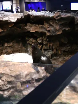 すみだ水族館に投稿された画像（2023/6/5）