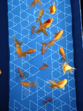 すみだ水族館に投稿された画像（2023/6/5）