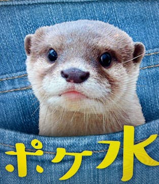 サンシャイン水族館に投稿された画像（2023/5/8）