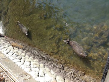 伊豆・三津シーパラダイスに投稿された画像（2022/10/23）