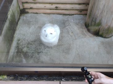 伊豆・三津シーパラダイスに投稿された画像（2022/10/23）