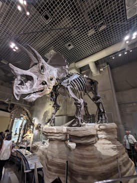 国立科学博物館に投稿された画像（2023/8/28）