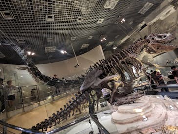 国立科学博物館に投稿された画像（2023/8/28）