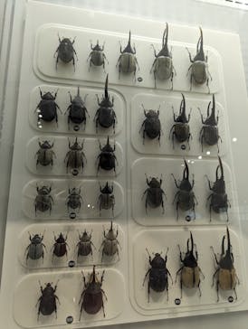 国立科学博物館に投稿された画像（2023/8/28）