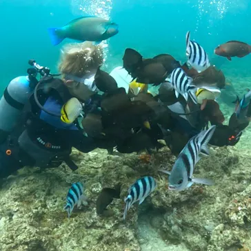 武藤潜水に投稿された画像（2023/8/28）