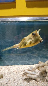 ぶっとんでるいきもの展に投稿された画像（2023/8/28）