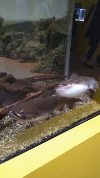 ぶっとんでるいきもの展に投稿された画像（2023/8/28）