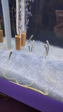 ぶっとんでるいきもの展に投稿された画像（2023/8/28）