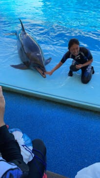 南知多ビーチランド＆南知多おもちゃ王国に投稿された画像（2023/8/28）