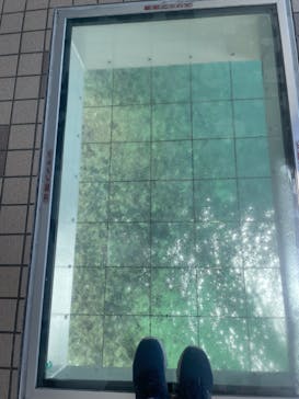 徳島県立 渦の道に投稿された画像（2023/8/28）