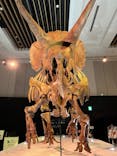 DinoScience 恐竜科学博 2023@TOKYO MIDTOWNに投稿された画像（2023/8/28）