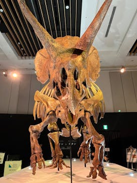 DinoScience 恐竜科学博 2023@TOKYO MIDTOWNに投稿された画像（2023/8/28）