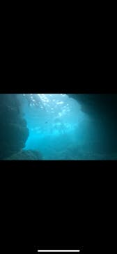 沖縄マリンサービス碧に投稿された画像（2023/8/28）