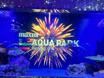 マクセル アクアパーク品川に投稿された画像（2023/8/28）