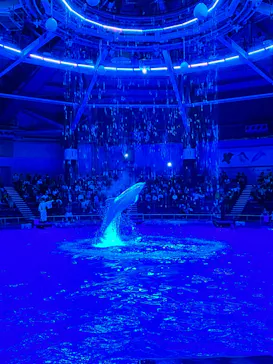 マクセル アクアパーク品川に投稿された画像（2023/8/28）