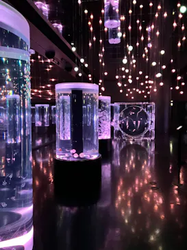 マクセル アクアパーク品川に投稿された画像（2023/8/28）