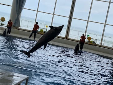 アクアワールド茨城県大洗水族館に投稿された画像（2023/8/28）
