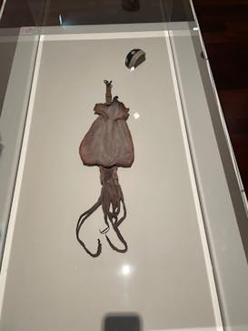 あべのハルカス美術館に投稿された画像（2023/8/28）