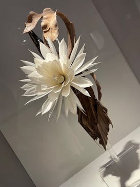 あべのハルカス美術館に投稿された画像（2023/8/28）