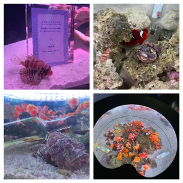 マクセル アクアパーク品川に投稿された画像（2023/8/28）