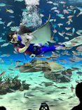 サンシャイン水族館に投稿された画像（2023/8/28）