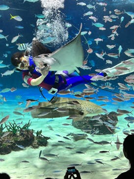 サンシャイン水族館に投稿された画像（2023/8/28）