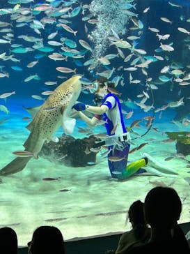 サンシャイン水族館に投稿された画像（2023/8/28）