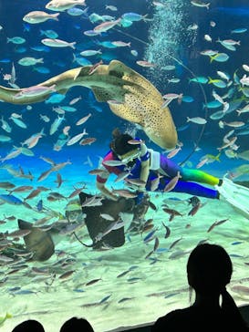 サンシャイン水族館に投稿された画像（2023/8/28）