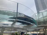 サンシャイン水族館に投稿された画像（2023/8/28）