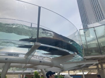 サンシャイン水族館に投稿された画像（2023/8/28）