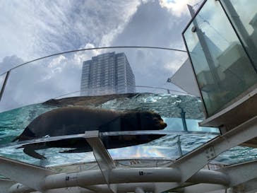 サンシャイン水族館に投稿された画像（2023/8/28）