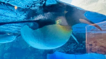 東京メガイルミに投稿された画像（2023/8/28）