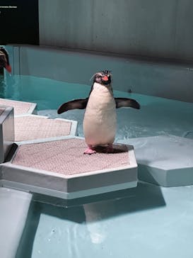 AOAO SAPPOROに投稿された画像（2023/8/28）