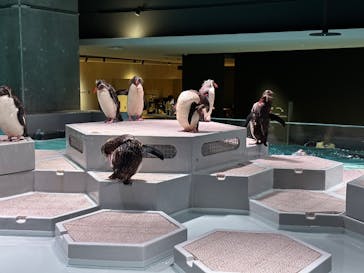 AOAO SAPPOROに投稿された画像（2023/8/28）