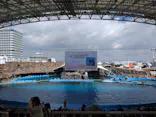 名古屋港水族館に投稿された画像（2023/8/28）