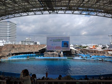 名古屋港水族館に投稿された画像（2023/8/28）